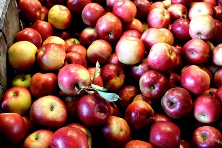 Zašto su dobre jabuke?