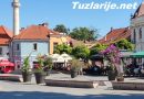 Najveći trg dodatno ukrašen: Ukrasno drveće na Trgu slobode