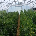 Zakazane dvije sjednice Gradskog vijeća Gradačac: Na dnevnom redu budžet i komunalna pitanja