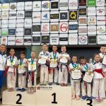 Policijska uprava Tuzla:Rasvijetljeno krivično djelo Teška tjelesna povreda