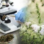 Matej Deket na radaru evropskih klubova