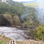 Otkupna cijena pšenice niža nego prošle godine, ratari upozoravaju na gubitke