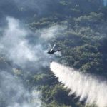 U TK gorjeli nisko rastinje, šuma, otpad i pomoćni objekti