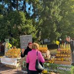 Tuzlaci najavili protest zbog parkinga: „Dosta je – stop naplati u stambenim naseljima“
